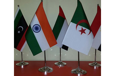 Custom Flags
